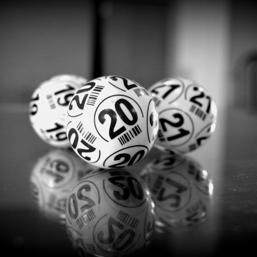 bingos-sc